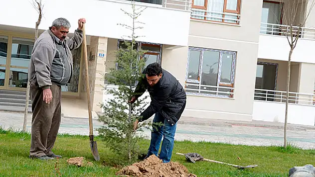 Örnek projeyle Meram daha da yeşilleniyor