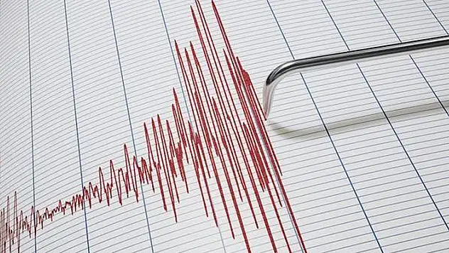 Osmaniye'de 4.6 büyüklüğünde deprem
