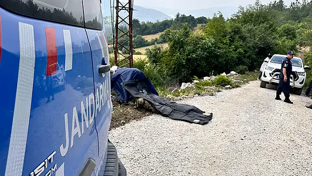 Osmaniye'de kız kardeşi ve eniştesini öldüren kişi, intihar etti 
