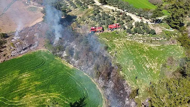 Osmaniye'de orman yangınında 5 dekarlık alan zarar gördü
