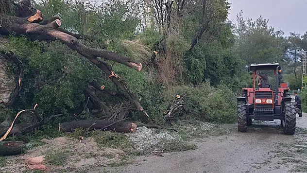 Osmaniye'de sağanak ve dolu hayatı olumsuz etkiledi
