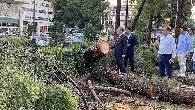 Osmaniye'de şiddetli fırtına çatıları uçurdu, ağaçları kökünden söktü
