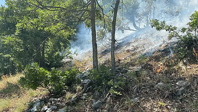 Osmaniye'nin Düziçi ilçesinde orman yangını başladı
