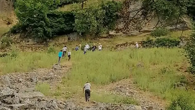 Ot toplamak isterken kayalıktan düşen kadın öldü