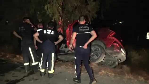 Otomobil ağaca çarptı, 2 kişi ağır yaralandı
