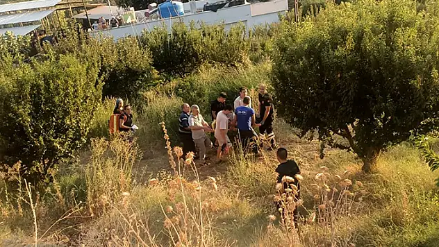 Otomobil dereye uçtu: 3 yaralı
