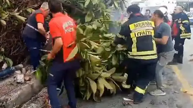 Otomobil yayalara çarptı, ağacı devirdi: 1 ölü, 3 yaralı
