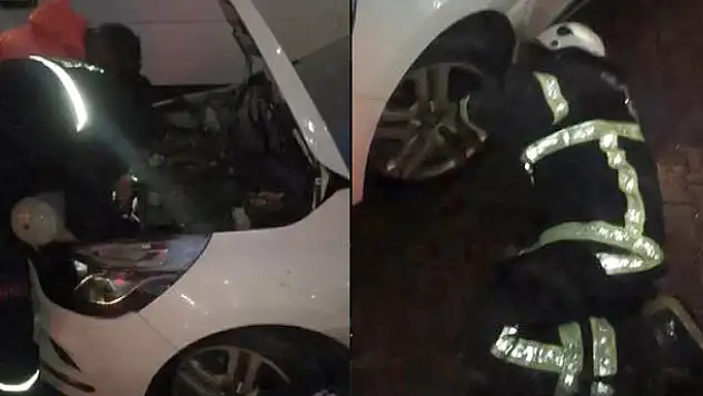 Otomobilde kedi kurtarma operasyonu