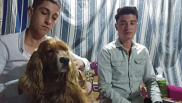 Otomobilin çarptığı köpeğini kalp masajı ile hayata döndürdü