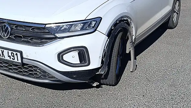 Otomobilin çarptığı köpek telef oldu