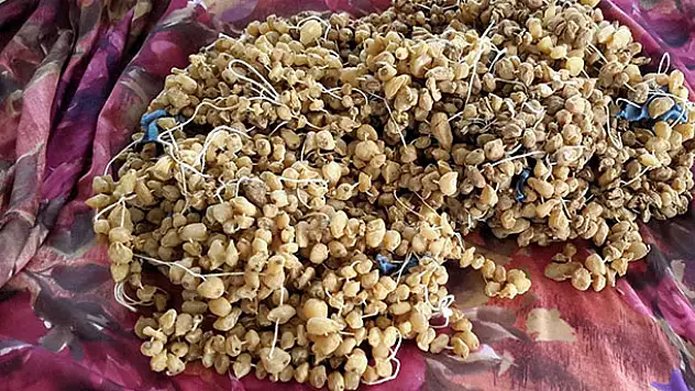 Otomobilin stepnesinde 3 kilogram kaçak salep soğanı ele geçirildi