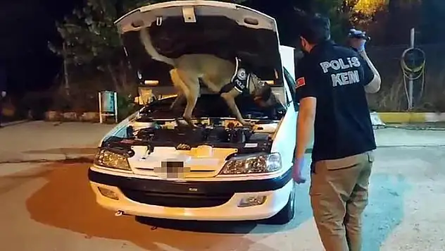 Otomobilin yakıt deposundaki 21 kilo eroini 'Millow' buldu

