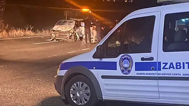 Otomobilin yolda çarptığı 4 at öldü, araçtaki 5 kişi yaralandı

