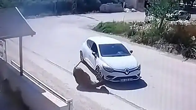 Otomobiliyle eşeğe kasıtlı olarak çarpan sürücünün ehliyetine el konuldu