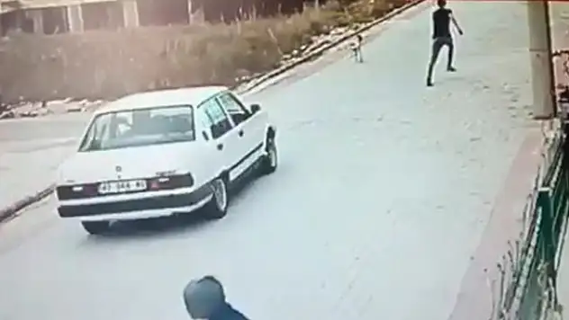 Otomobille köpeğe kasıtlı çarpma anı güvenlik kamerasında