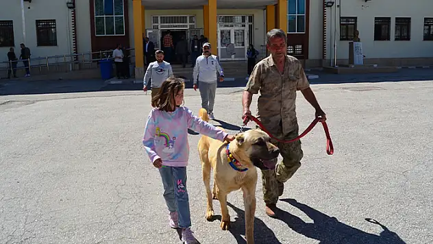 Oy kullanmaya 'Aksaray malaklısı' çoban köpeğiyle geldi