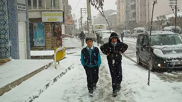Özalp'ta kar tatili