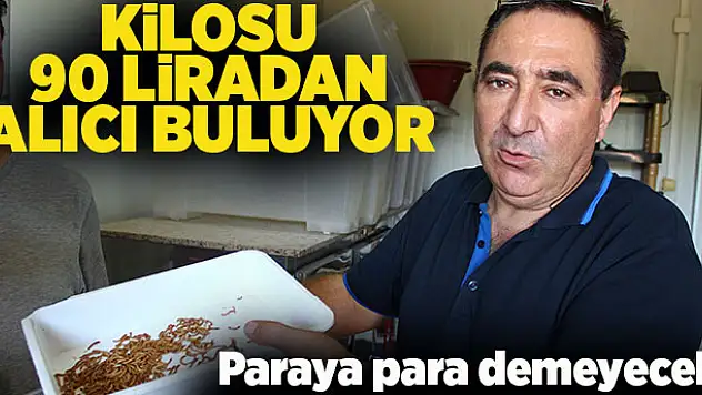 Paketleyip kilosunu 90 TL'den sattığı kurtlarla Avrupa'ya açılacak