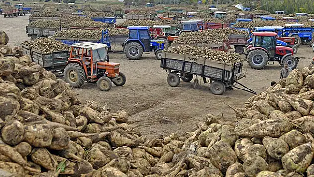 Pancar nakliyesi taşıyıcıları rahatlattı