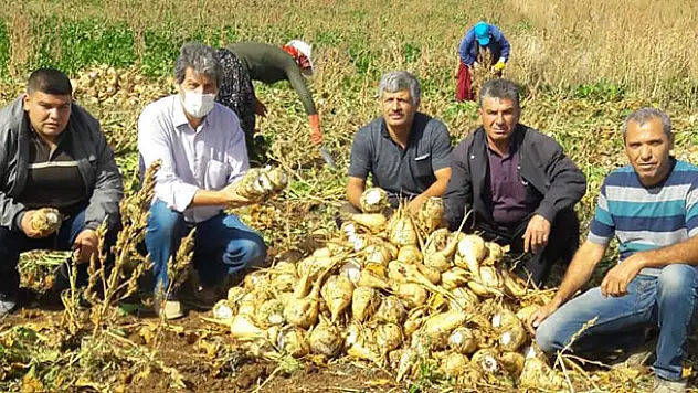 Pancar üreticisi ürünün alım fiyatının açıklanmasını bekliyor