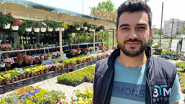 Pandemi dönemindeki bitkilere artan ilgi azaldı