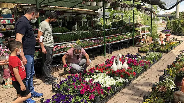 Pandemide doğaya ve bitki yetiştirmeye ilgi arttı
