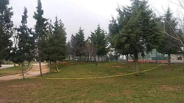 Parkta bulunan bebek eli korkunç olayı ortaya çıkardı