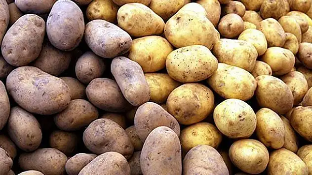Patates fiyatları yeni mahsullerle düşmeye başladı