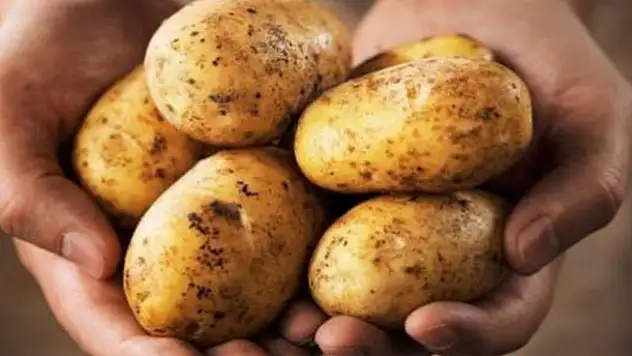Patates fiyatlarında stok oyunu başladı