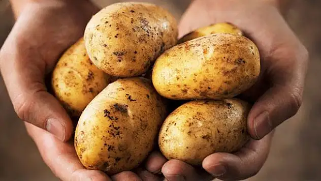 Patates üreticiyi zor duruma sokuyor