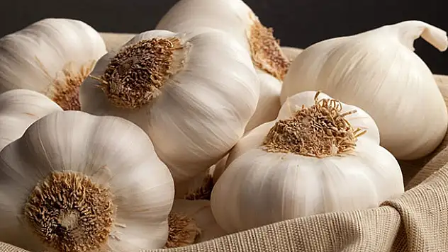 Patates ve soğandan sonra sıra sarımsağa geldi