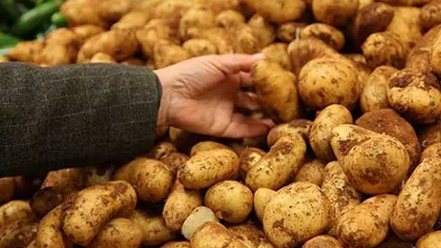 Patates zam şampiyonu!