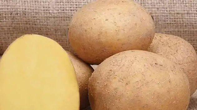 Patatesten çöp poşeti ürettiler