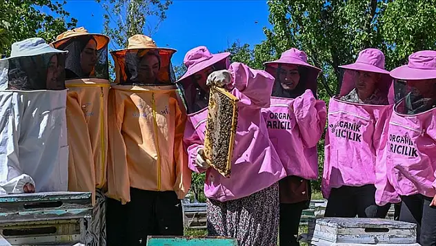 Pembe kıyafetli arıcılar, organik bal üretiminde söz sahibi olmak istiyor
