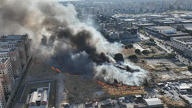 Pendik Aydos Ormanı'nda yangın kontrol altına alındı