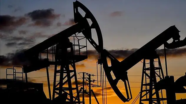 Petrol hakkına müteallik karar