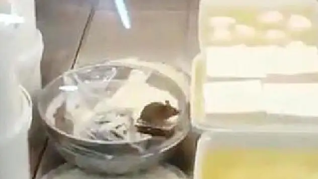 Peynir almak isteyen vatandaş hayatının şokunu yaşadı!