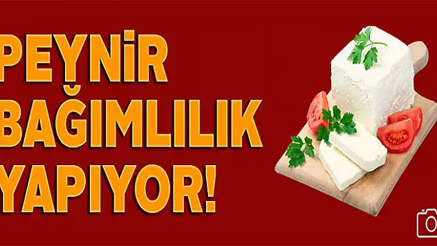 Peynirin bağımlılık yaptığı ortaya çıktı