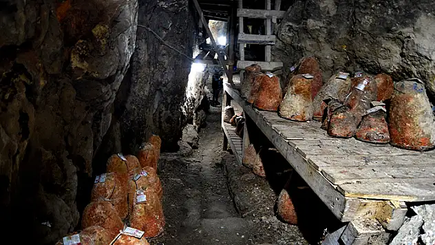 Peynirin lezzetine lezzet katan mağara: Divle Obruk Mağarası