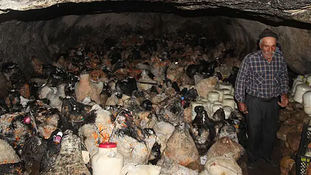 Peynirler mağaralarda 5 ayda olgunlaşıyor