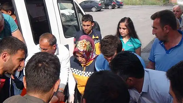 Piknik yapıyorlardı dehşeti yaşadılar: 6 yaralı