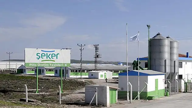 Piliç devinin sahipleri FETÖ'den gözaltında