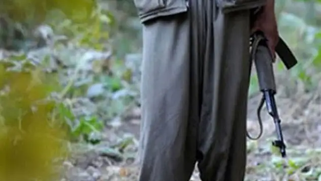 PKK'lı 4 terörist teslim oldu