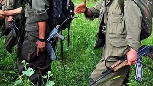 PKK şokta! Üst düzey 50 isim birden silah bırakıp evine döndü