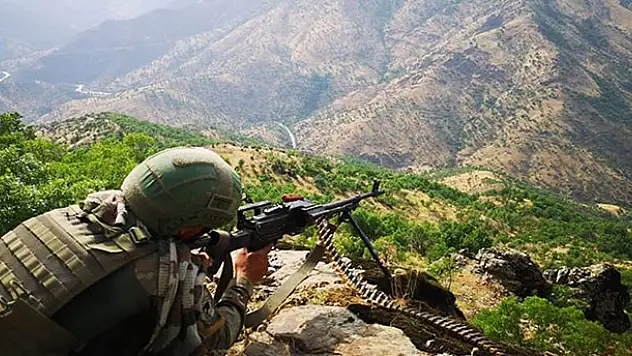 PKK'ya silah ve eleman temin eden 2 terörist yakalandı