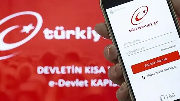 Plakaya yazılan cezalar e-Devlet'ten öğrenilebilecek