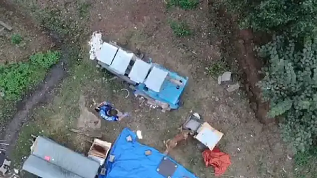 Polis drone ile takip edip arı kovanını içinde uyuşturucu ve silah ele geçirdi