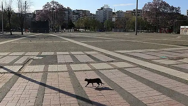 Ramazan'da sokağa çıkma ve seyahat yasağı! İşte hükümetin 'kapatma' planı gözler salı gününde