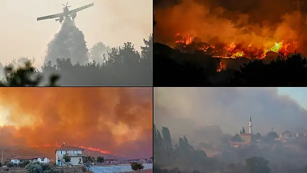 Rekor sıcaklıkların yaşandığı haziranda orman yangınları geçen yıla göre yaklaşık 5 kat arttı
