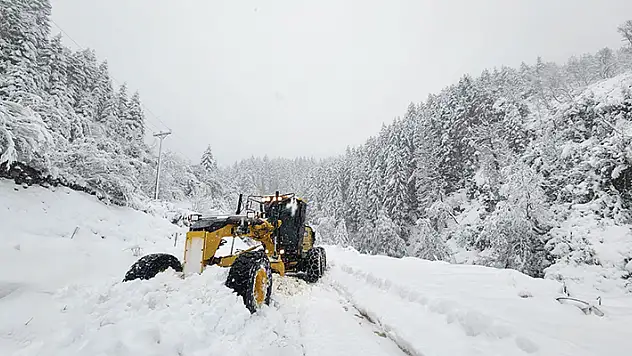 Rize'de 21 köy yolu kardan kapandı
